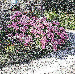 Lemoign-Locations Crozon Exterior foto